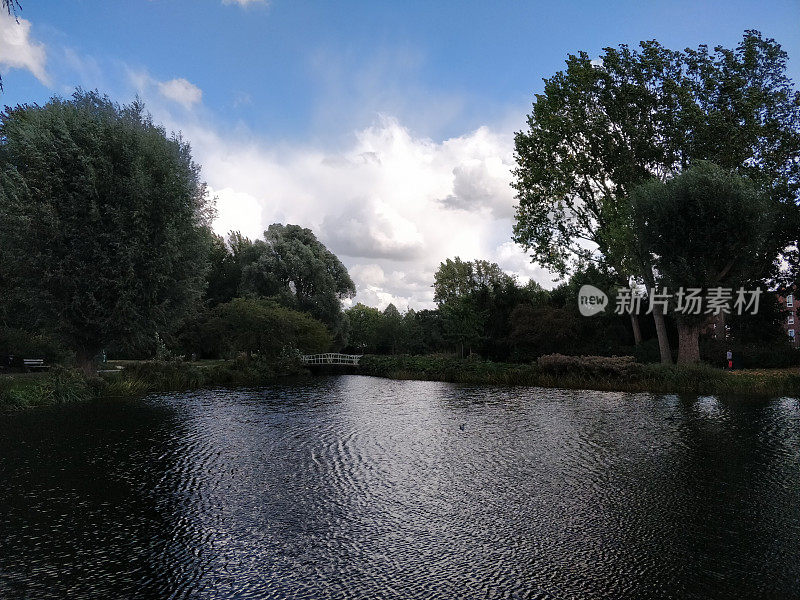 安静的公园，有大片的绿树和湖景