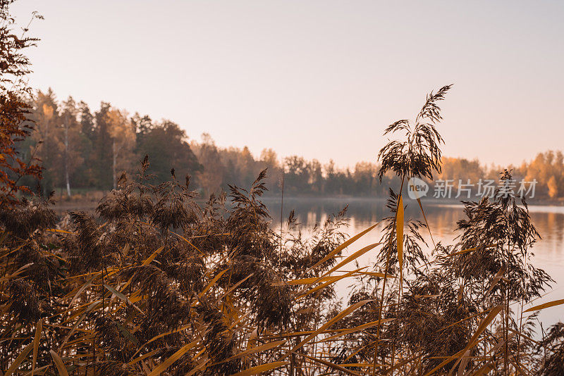 美丽的秋天自然景观在十月湖边日出