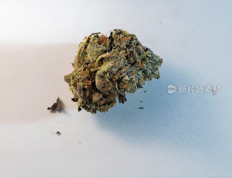 高档大麻大麻花蕾特写