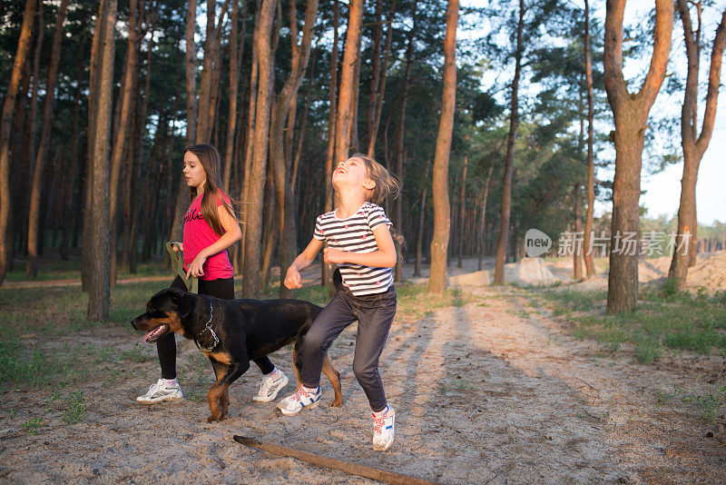 孩子们带着罗威纳犬散步