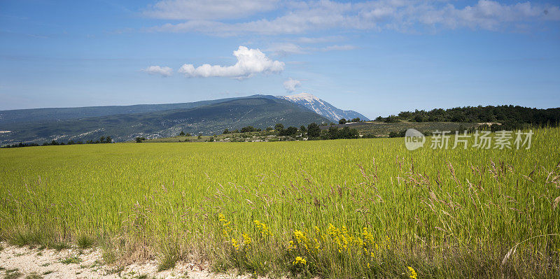 Provençal风景，法国南部