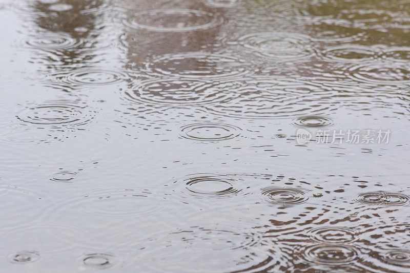 池塘里的雨滴