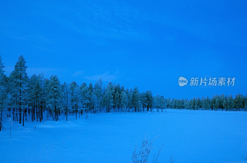 冬天黎明前的风景。西方西伯利亚亚马尔半岛