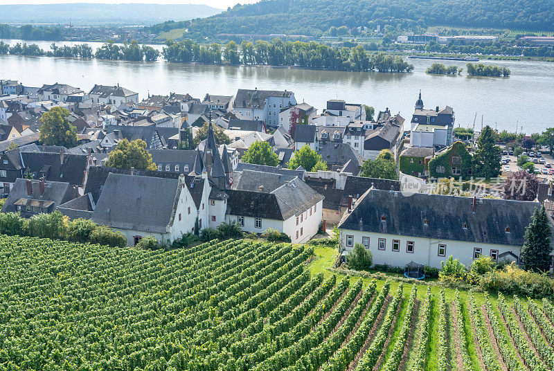 葡萄园在低森林纪念碑纪念碑Rüdesheim，德国