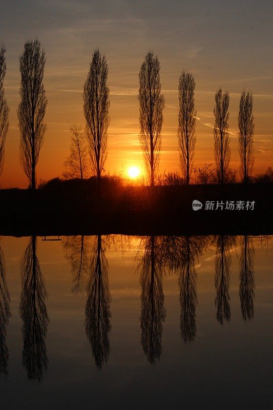 夕阳西下，树木倒映在湖面上