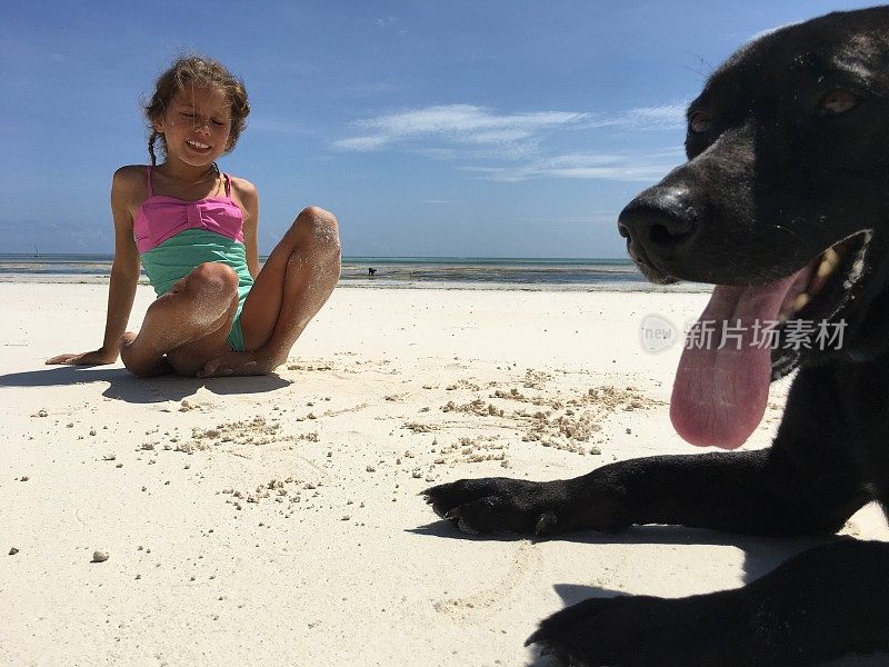 年轻的女孩和她的狗在夏天的沙滩上度假