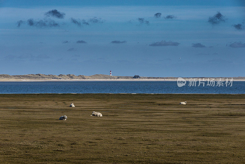 在北海岛屿Sylt的景观