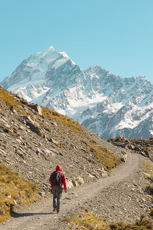 新西兰库克山;独自徒步旅行者在阳光下在库克山徒步路线。