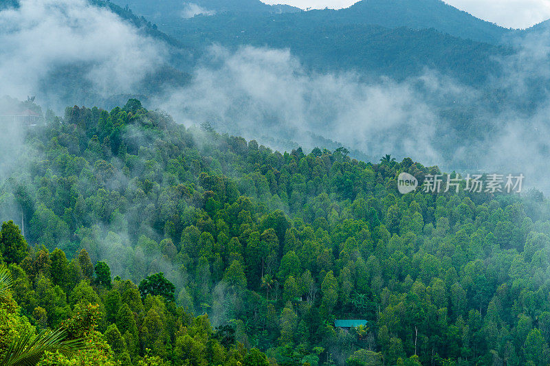 云雾缭绕的山峦覆盖着雨林。