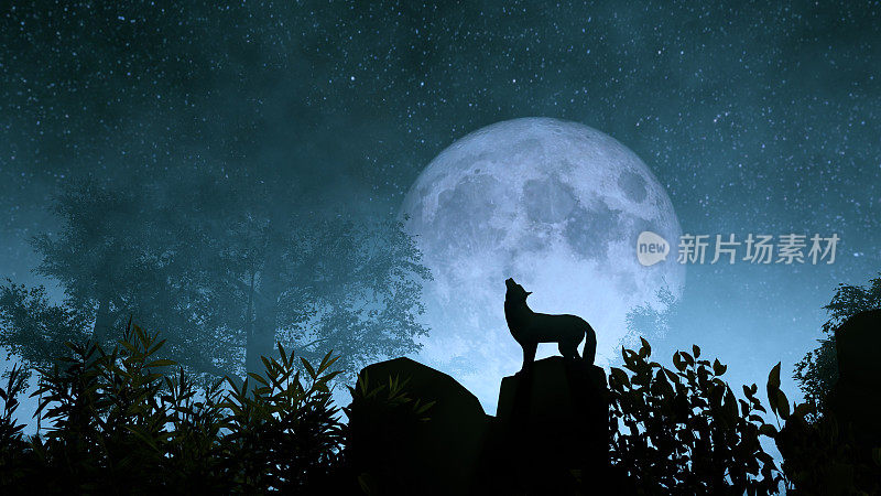 狼对着月亮嚎叫