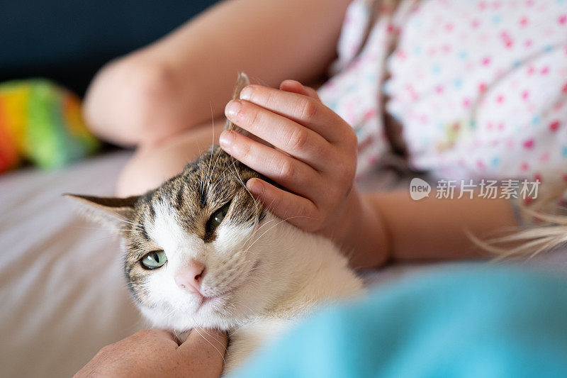 孩子们喜欢他们的宠物猫