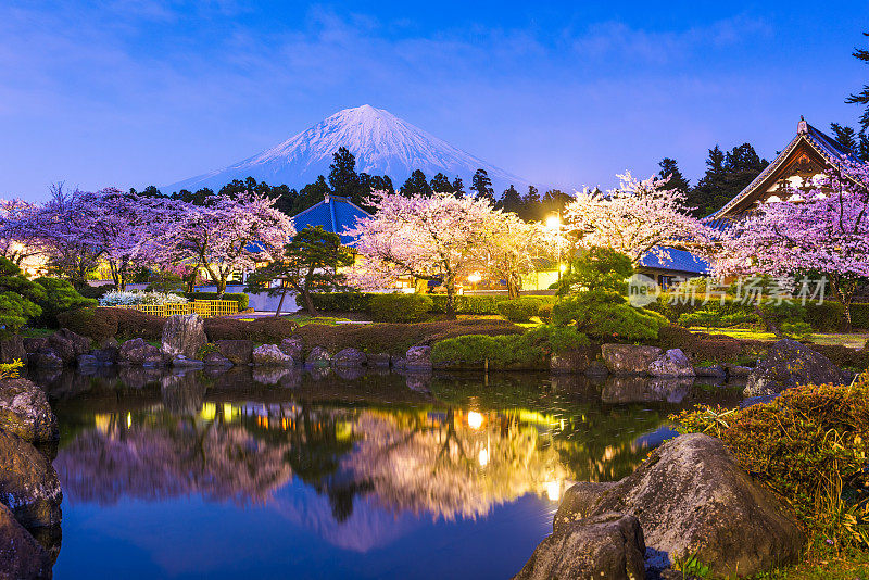 日本静冈县的富士宫春天有富士山和寺庙。