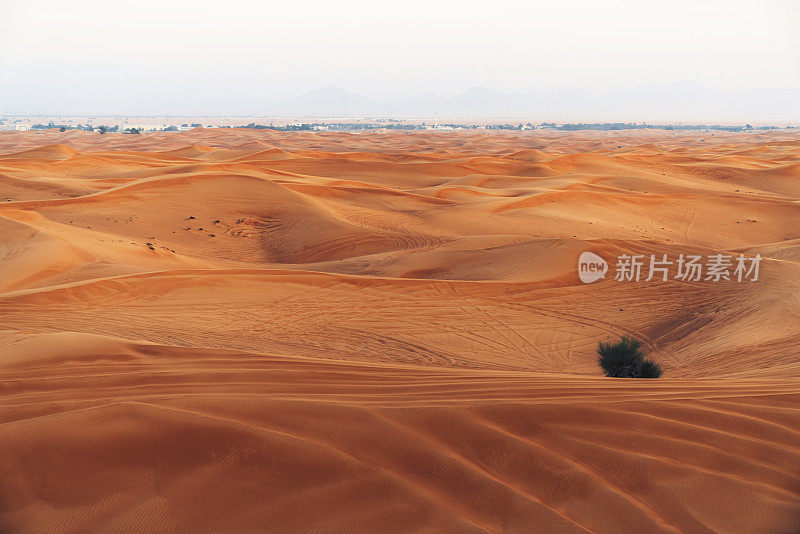 阿拉伯沙漠的沙丘，迪拜外