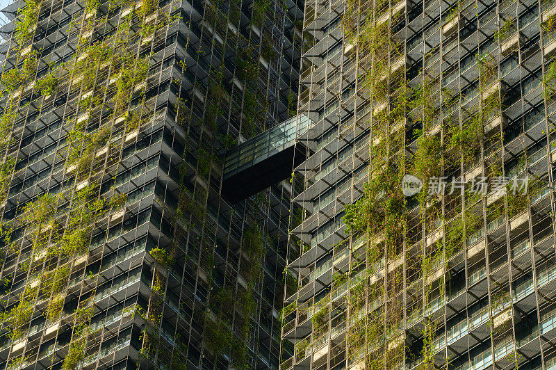 城市绿色生态建筑，绿色建筑