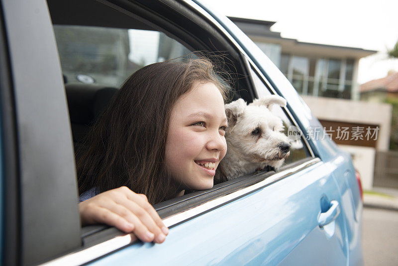 车窗外的女孩和狗