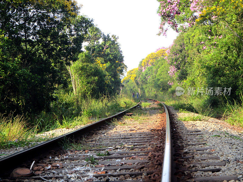 巴西圣保罗州里贝拉奥皮雷，横穿大西洋森林的铁路