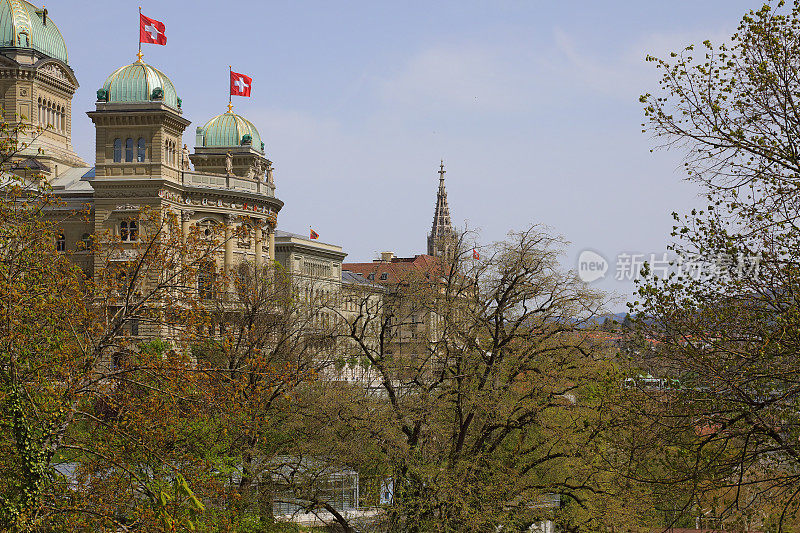 瑞士伯尔尼，瑞士联邦宫殿和树木