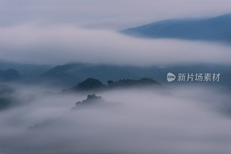 清晨的风景，金色的光线，日出，雾气笼罩着森林。