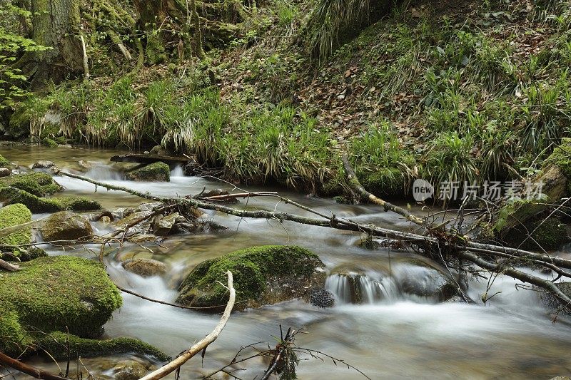 石头在河