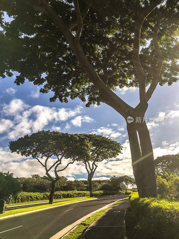 Wailea景观，美国夏威夷