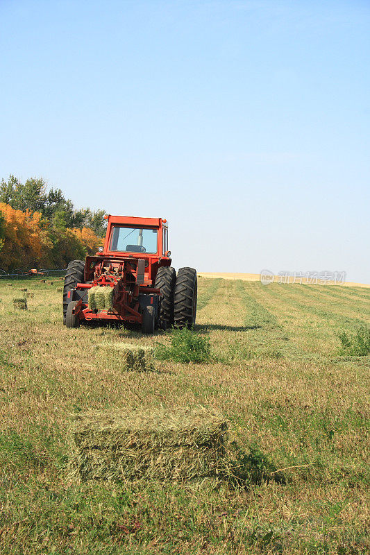 拖拉机在秋季的田地里收割小捆庄稼