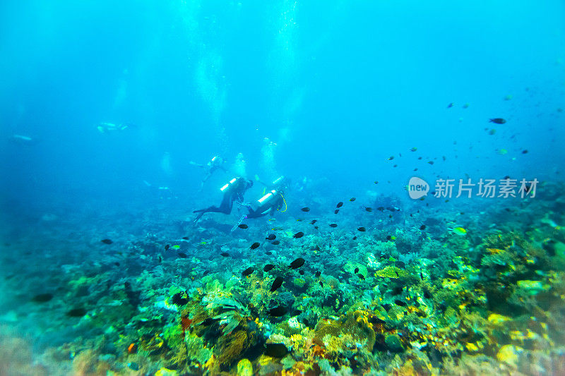 热带鱼和水肺潜水员在大珊瑚礁周围游泳