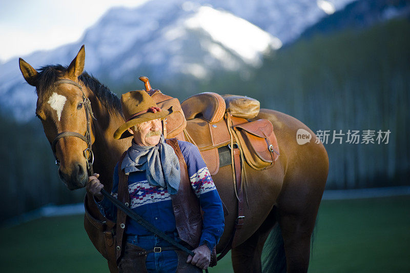 老牛仔与马在山区