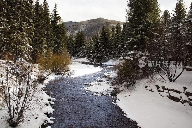 冬天的科罗拉多河。大雪纷飞，树木常青。没有人。