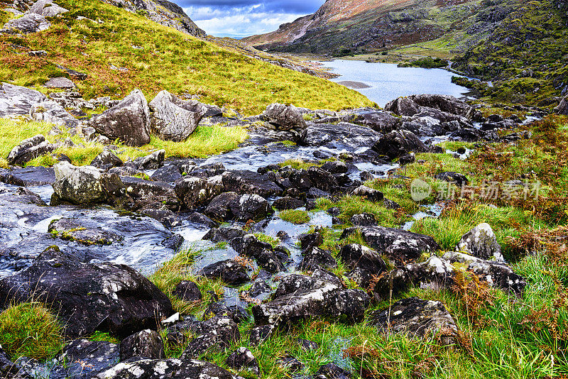 爱尔兰邓洛峡的山涧。