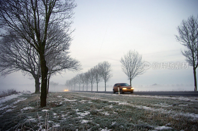 美丽wintermorning景观