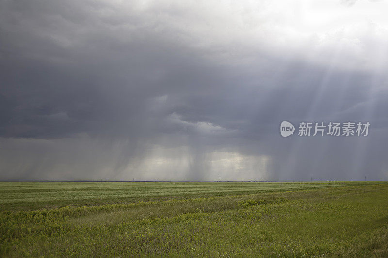 田野上的雨云