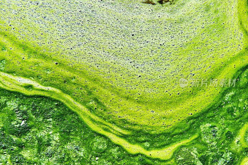 被藻类污染的水。绿色和黄色