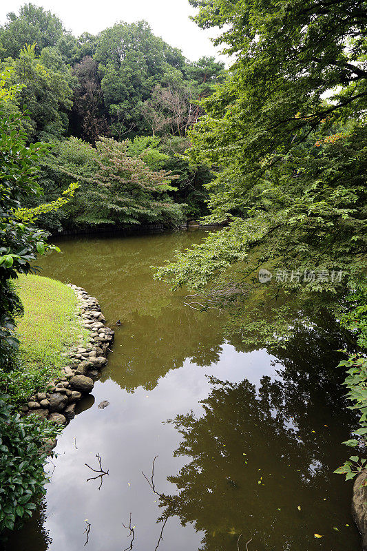 日本:东京的代代木公园