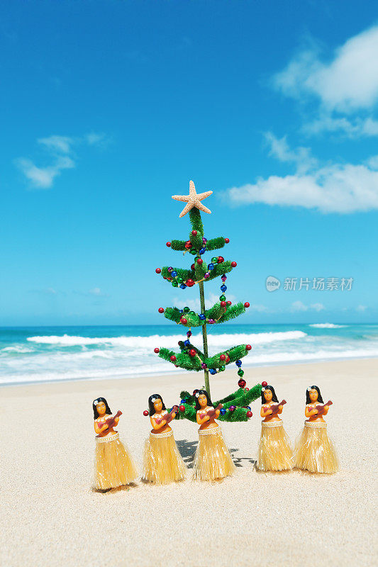 草裙舞和圣诞树在热带夏威夷海滩佛蒙特