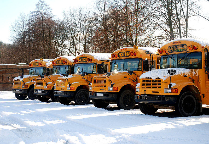 雪地上排成了一排校车