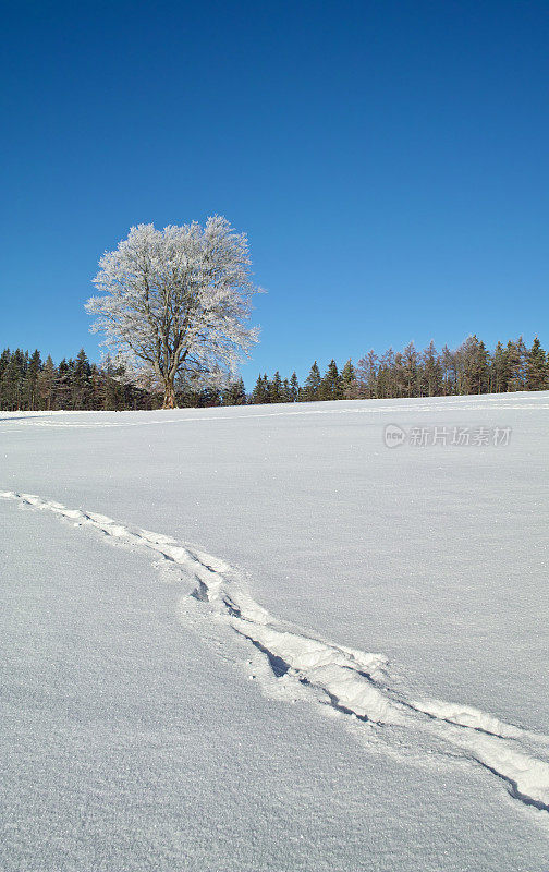 下雪的冬天的风景