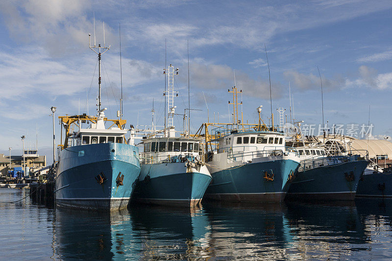 珀斯南部弗里曼特尔港的商业渔船