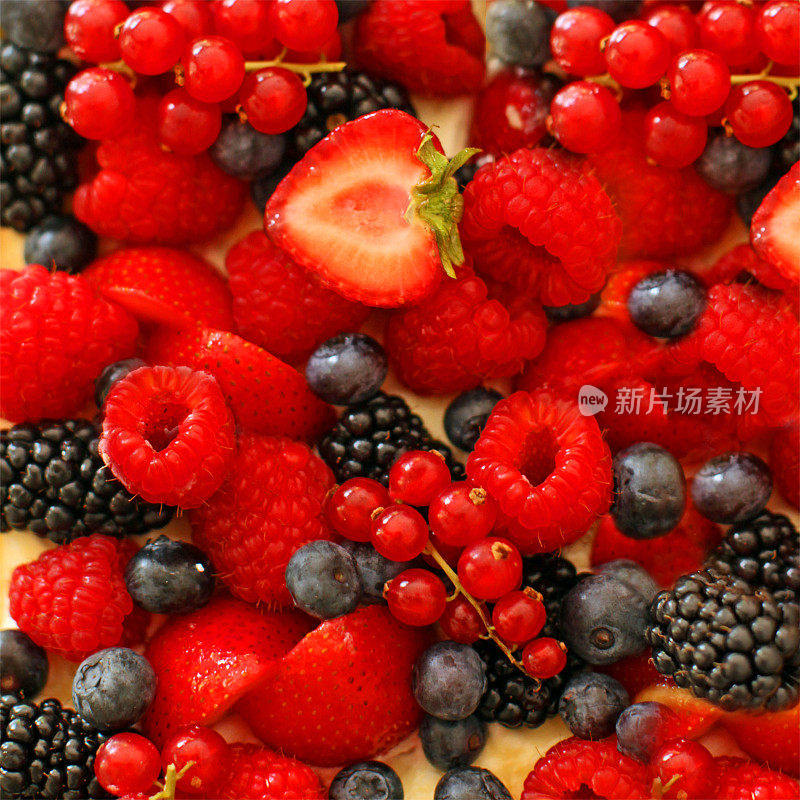 混合草莓，蓝莓，覆盆子，黑莓，红醋栗