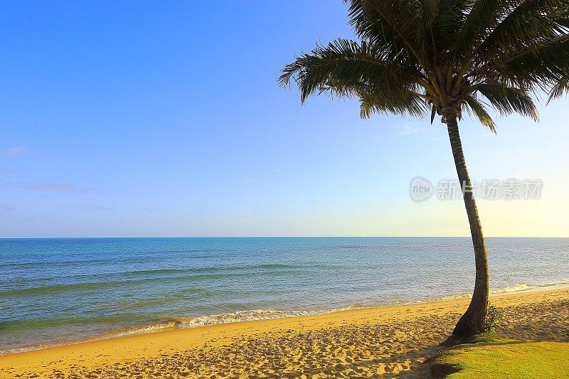 天堂:Trancoso田园诗般的热带海滩，巴伊亚州，巴西东北部