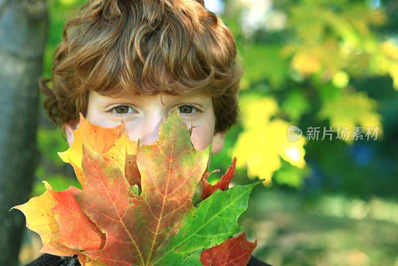 落叶男孩