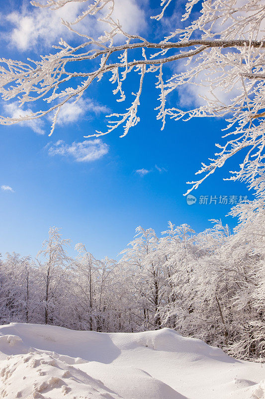 雪山中的冬季景观(意大利)