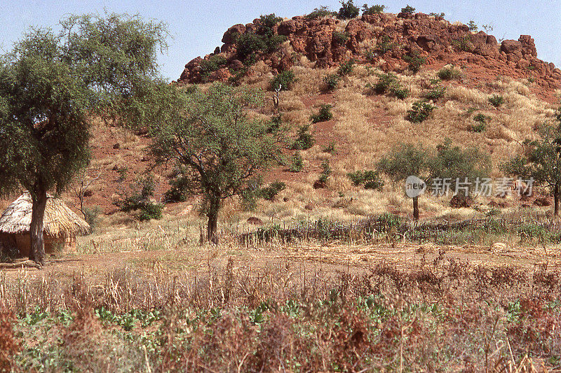 西非布基纳法索萨赫勒红土盖层岩旱季