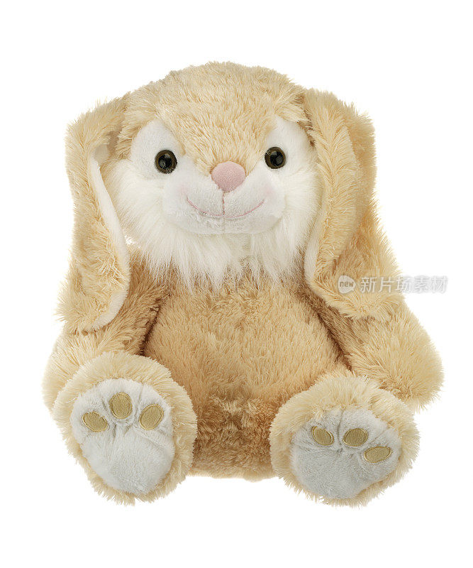 浅棕色的兔子泰迪熊孤立在白色的背景