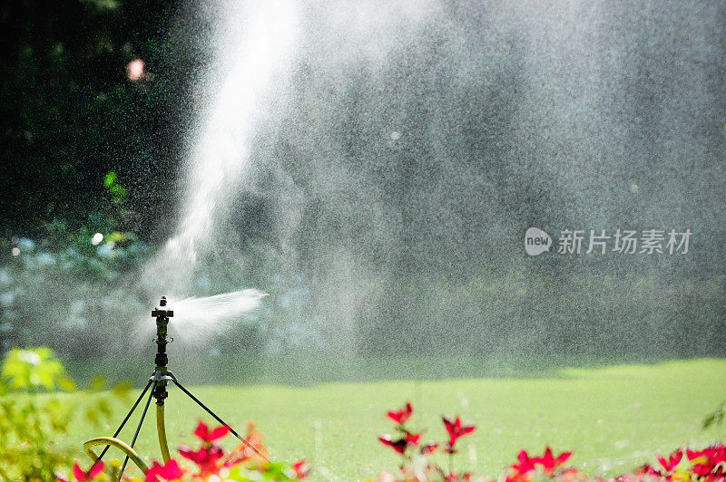 洒水器在工作，花儿闭合