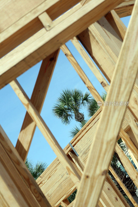 木材结构框架棕榈树