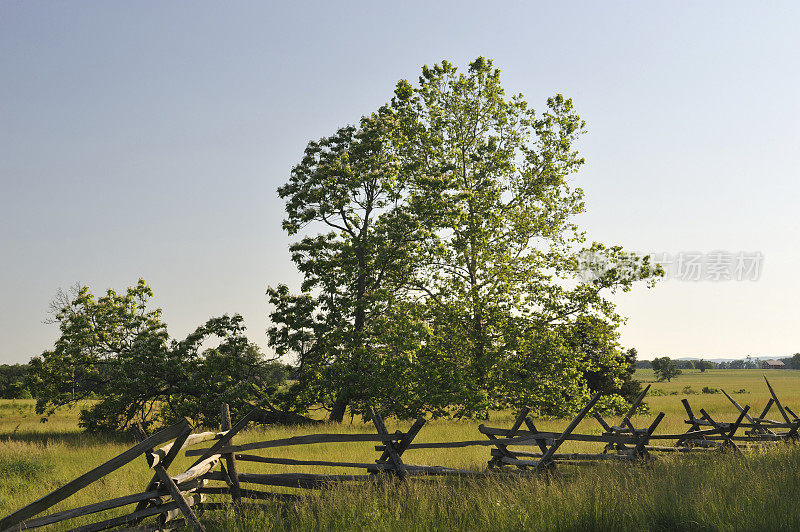 篱笆和树木