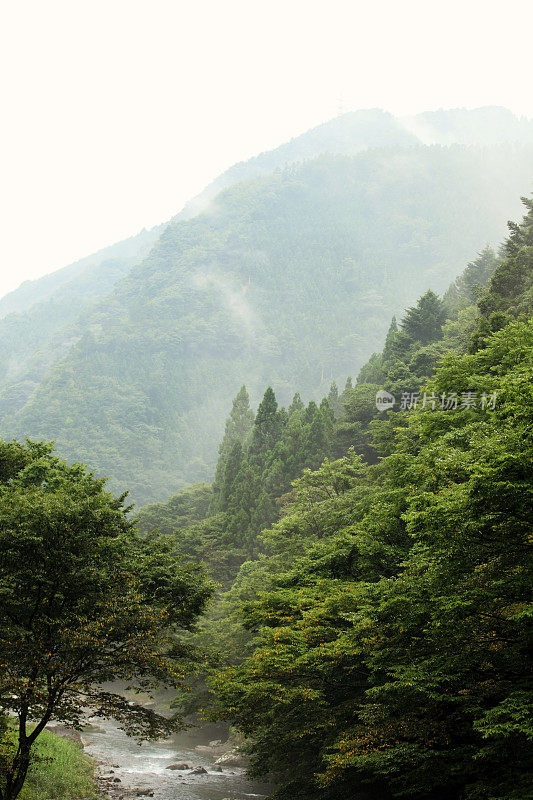 山景观