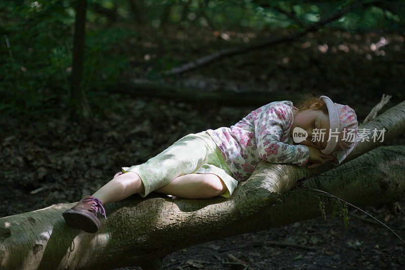 女孩睡在森林的树枝上