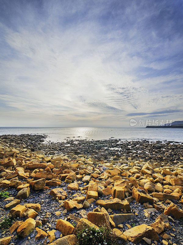 海岸