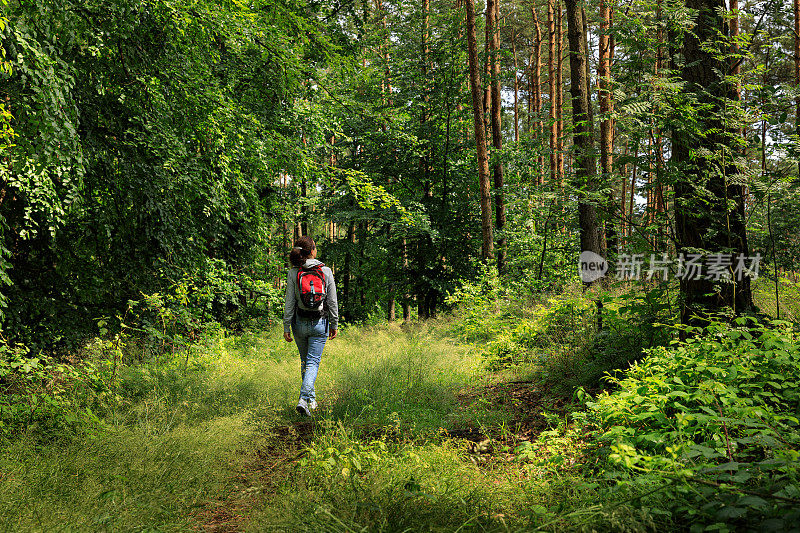 背着背包在森林里徒步旅行的女人